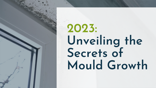 2023: Unveiling the Secrets of Mould Growth