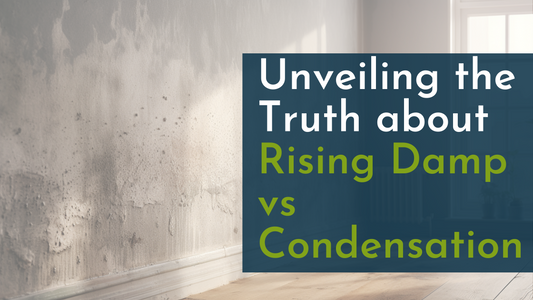 Unveiling the Truth about Rising Damp vs Condensation