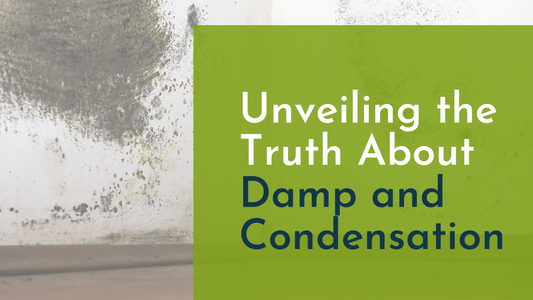 Unveiling the Truth About Damp and Condensation
