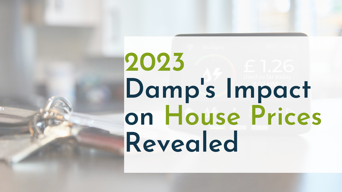 2023: Damp's Impact on House Prices Revealed