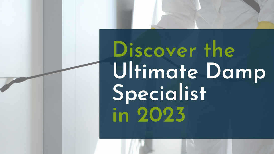 Discover the Ultimate Damp Specialist in 2023