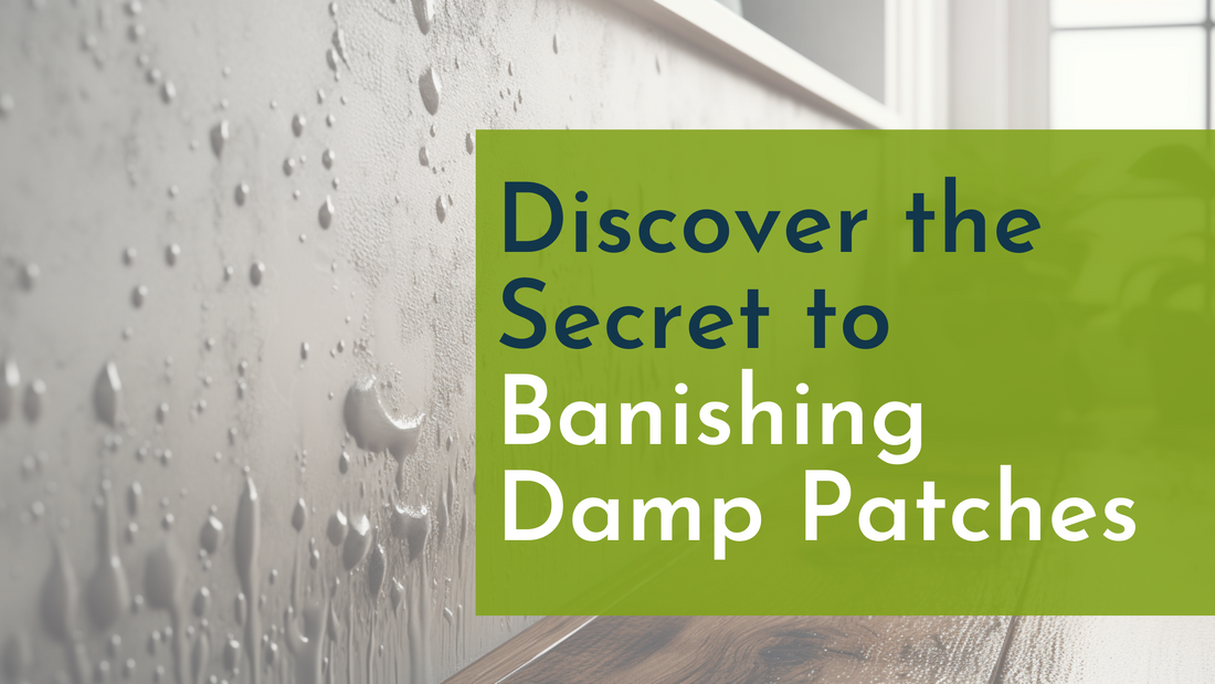 Discover the Secret to Banishing Damp Patches