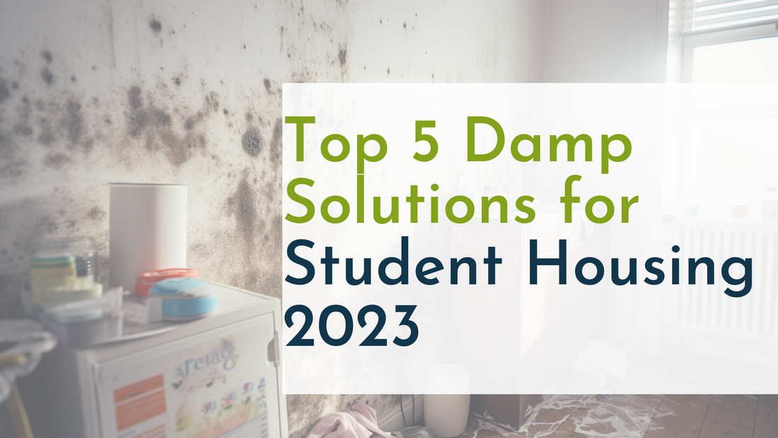 Top 5 Damp Solutions for Student Housing 2023