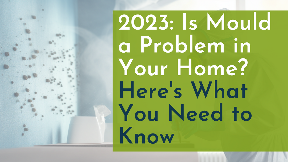2023: Is Mould a Problem in Your Home? Here's What You Need to Know