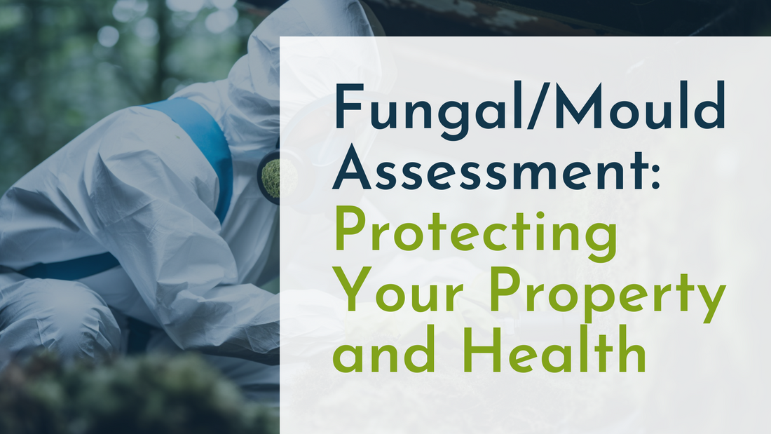 Fungal/Mould Assessment: Protecting Your Property and Health