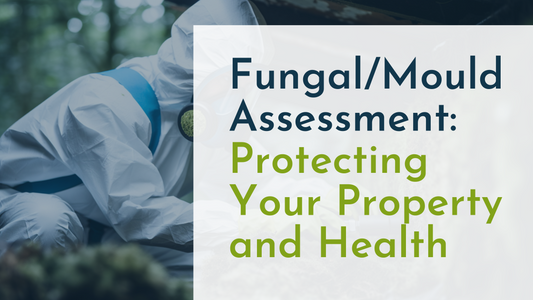 Fungal/Mould Assessment: Protecting Your Property and Health