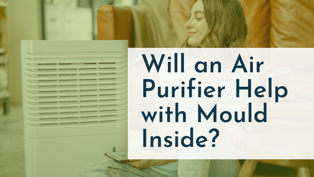 Will an Air Purifier Help with Mould Inside?